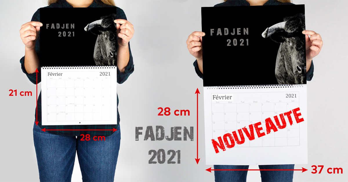 calendrier-vache-bovin-2020-association-anti-corrida-fadjen-couverture 2