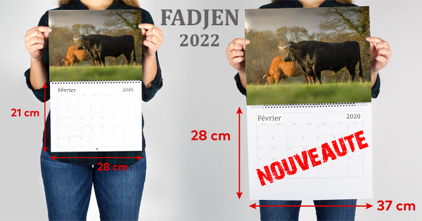 calendrier 2022 vaches, taureaux, bovins, association anti corrida Fadjen
