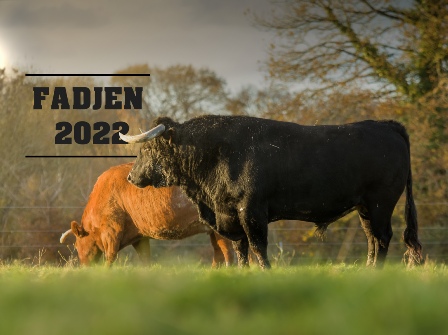Calendrier vaches 2022 - association anti corrida Fadjen