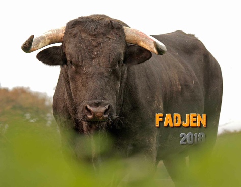 calendrier vache bovin 2018 association anti corrida fadjen