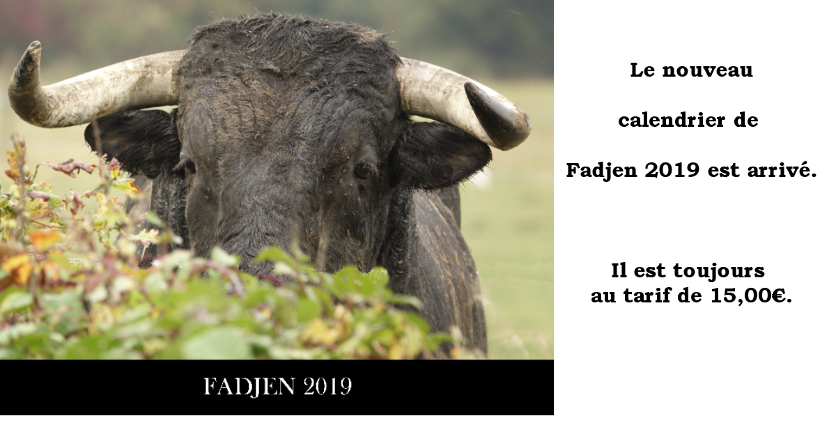 calendrier-vache-bovin-2019-association-anti-corrida-fadjen-couverture2.png