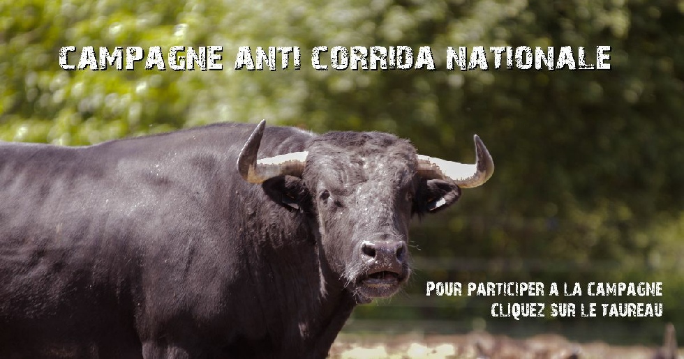 campagne anti corrida nationale association anticorrida fadjen.jpg