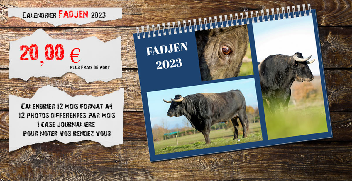 calendrier 2023 vaches, taureaux, bovins, association anti corrida Fadjen
